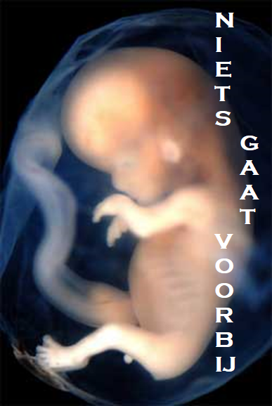 ngv affiche